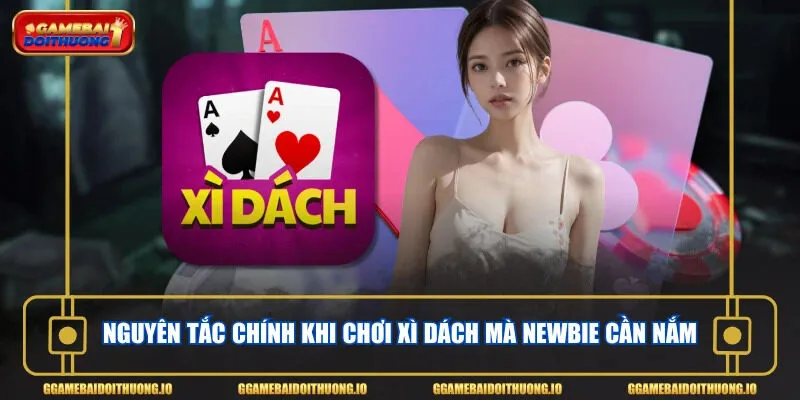 Nguyên tắc chính khi chơi xì dách mà newbie cần nắm